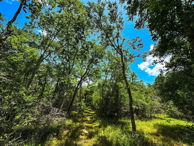 4888 Baldwin Dr, Hungerford, TX 77448 - photo 11