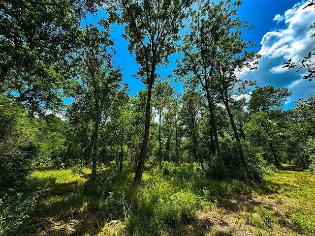 4888 Baldwin Dr, Hungerford, TX 77448 - photo 2