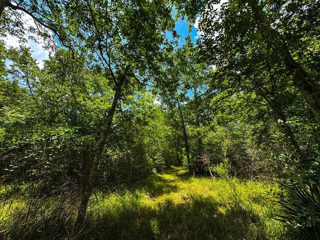 4888 Baldwin Dr, Hungerford, TX 77448 - photo 12