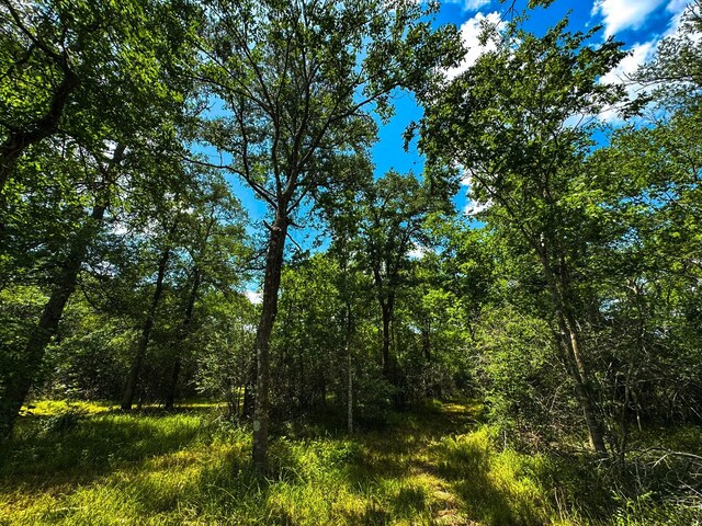 4888 Baldwin Dr, Hungerford, TX 77448 - photo 13