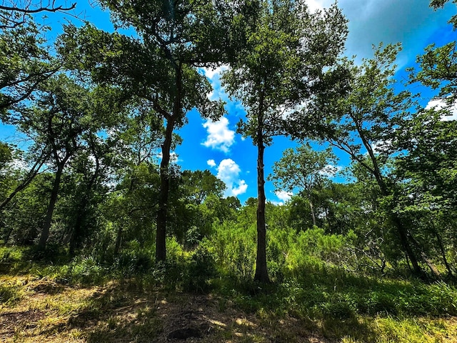 4888 Baldwin Dr, Hungerford, TX 77448 - photo 14