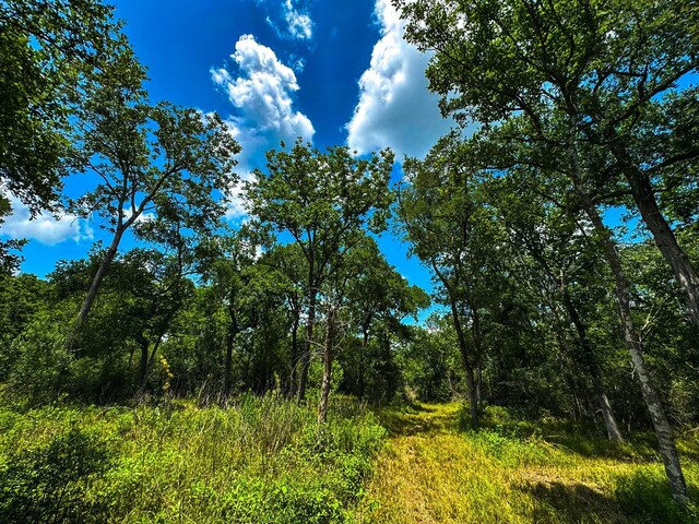 4888 Baldwin Dr, Hungerford, TX 77448 - photo 15