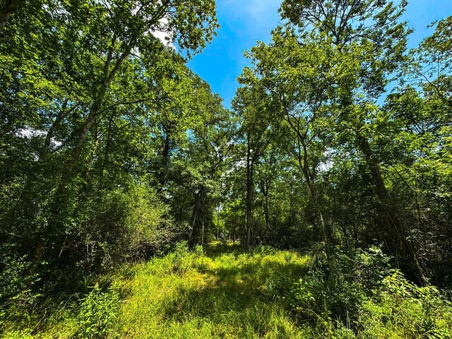 4888 Baldwin Dr, Hungerford, TX 77448 - photo 17