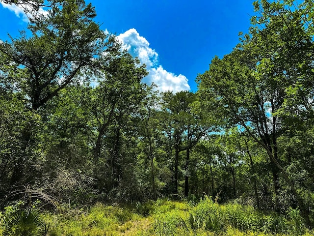 4888 Baldwin Dr, Hungerford, TX 77448 - photo 18