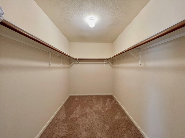 21807 Olympia Springs Ln, Katy, TX 77449 - spacious closet with carpet floors