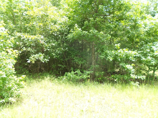 NA River Dr, Trinity, TX 75862
