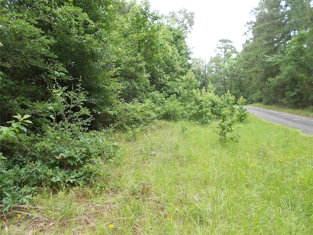 NA River Dr, Trinity, TX 75862