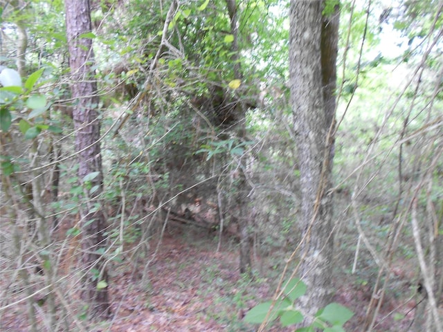 NA River Dr, Trinity, TX 75862