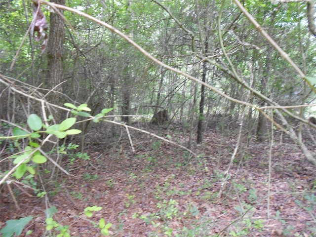 NA River Dr, Trinity, TX 75862