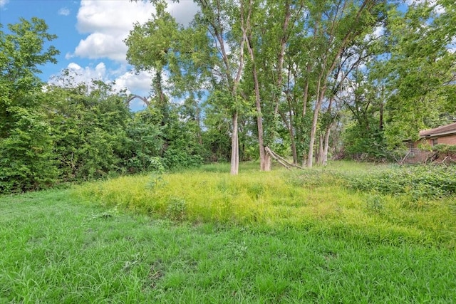315 E Whitney St, Houston, TX 77022 - view of nature