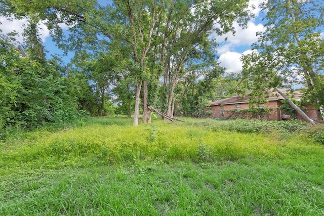 315 E Whitney St, Houston, TX 77022 - view of yard