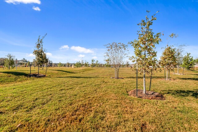 15695 Honey Cove Dr, Conroe, TX 77303 - view of green lawn