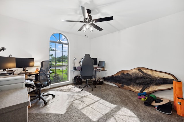 6710 Canyon Trl, Manvel, TX 77578 - carpeted home office featuring ceiling fan