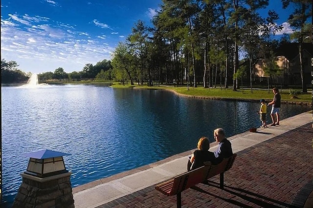 17023 Tallgrass Prairie Ln, Humble, TX 77346 - dock area with a water view