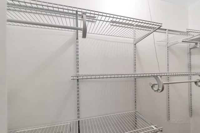 12633 Memorial Dr Unit 179, Houston, TX 77024 - view of spacious closet