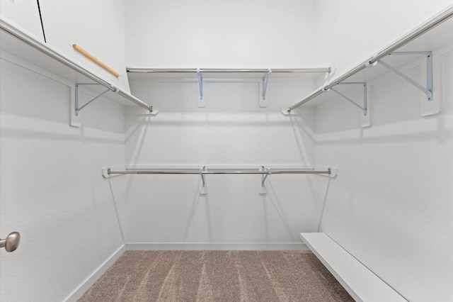 16514 Lake Austin St, Cypress, TX 77433 - spacious closet with carpet floors