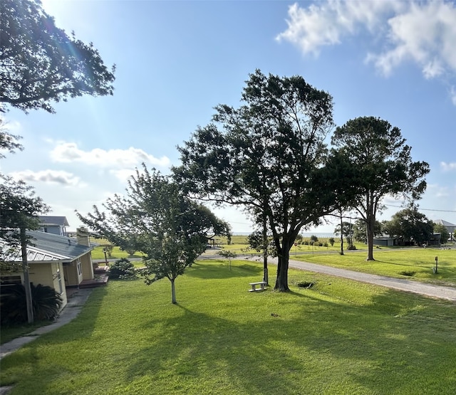 231 Bayshore Rd, Anahuac, TX 77514 - view of green lawn