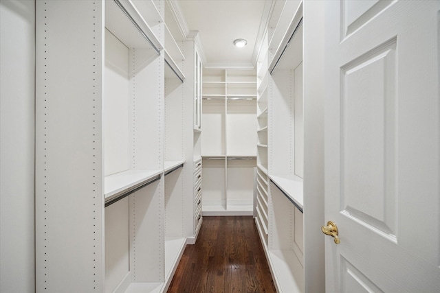 10918 Wickline Dr, Hunters Creek Village, TX 77024 - walk in closet with dark wood-style floors