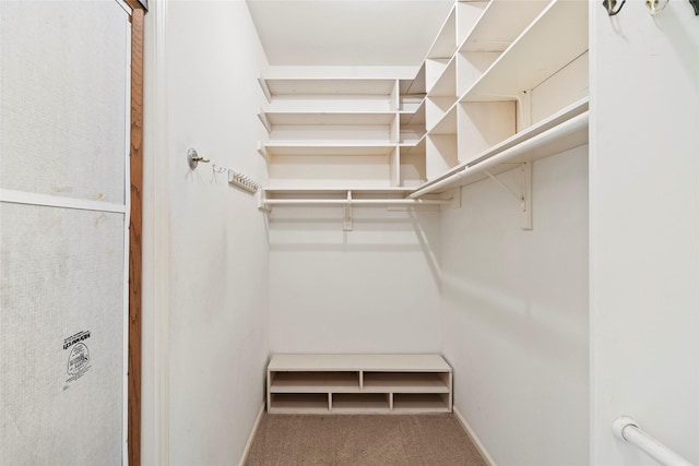 1925 E Lake Dr, Huntsville, TX 77340 - spacious closet featuring carpet flooring
