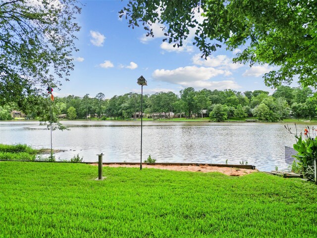 1925 E Lake Dr, Huntsville, TX 77340 - water view