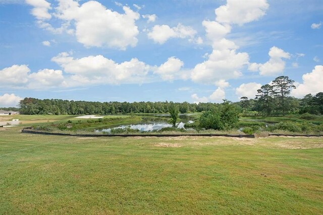 42548 Rustico Rd, Magnolia, TX 77354 - photo 9