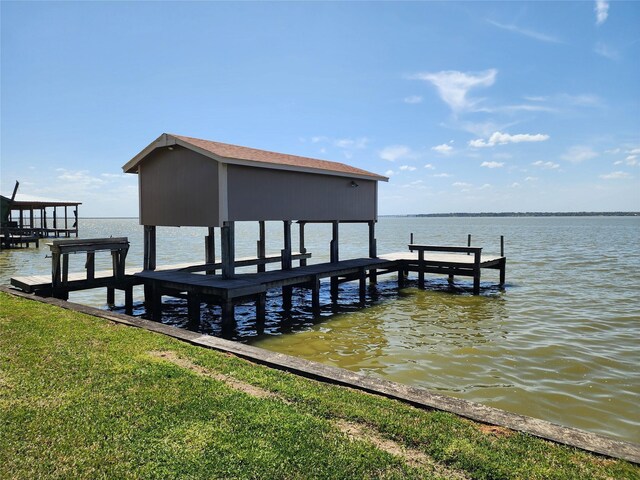 482 W Cattle Dr, Onalaska, TX 77360 - dock area with a water view
