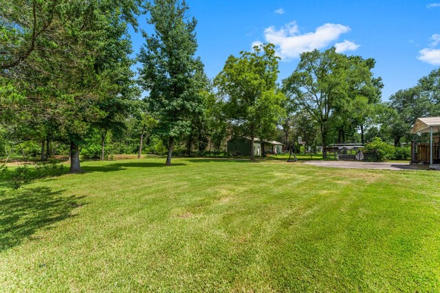 31614 Debbi Ln, Magnolia, TX 77355 - view of grassy yard with view of wooded area