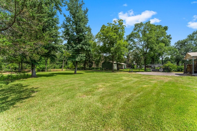 31614 Debbi Ln, Magnolia, TX 77355 - photo 36
