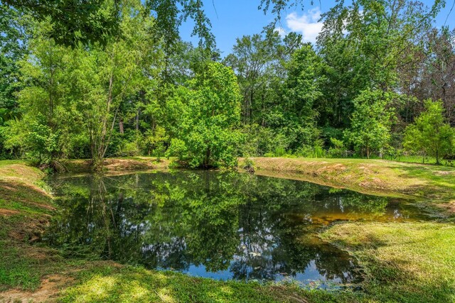 31614 Debbi Ln, Magnolia, TX 77355 - water view
