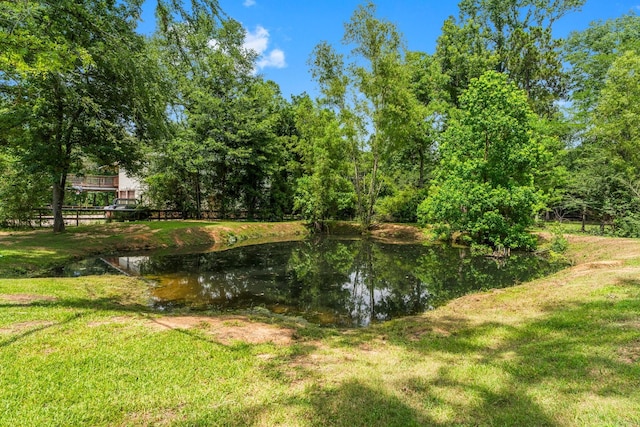 31614 Debbi Ln, Magnolia, TX 77355 - photo 34