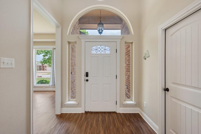 1208 Robinsville Ct, College Station, TX 77845 - foyer with dark wood-style floors, healthy amount of natural light, and baseboards