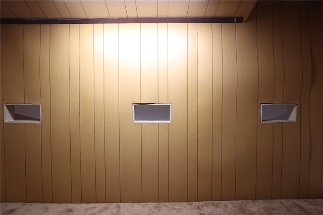 6416 Dawnridge Dr, Houston, TX 77035 - detailed view of carpet and wood walls