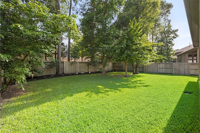 127 Evening Tide Ct, Conroe, TX 77318 - view of yard