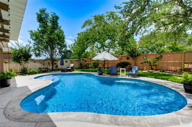 2714 San Marco Ln, League City, TX 77573 - view of pool featuring a patio area and a fenced backyard