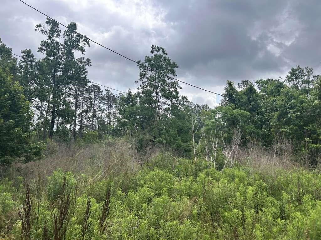 195 Greathouse St, Vidor, TX 77662 - photo 2