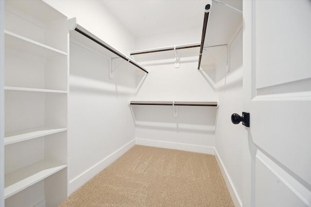 4601 Creekbend Dr, Houston, TX 77035 - walk in closet featuring carpet