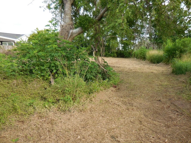 628 Austin St W, Matagorda, TX 77457 - view of yard