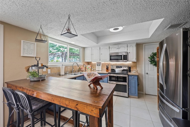23910 Spring Day Ln, Spring, TX 77373 - kitchen with stainless steel appliances, a sink, a textured ceiling, a tray ceiling, and light tile patterned floors