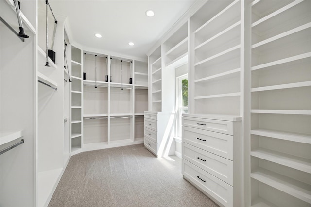 26800 Saddle Horn, Waller, TX 77484 - spacious closet featuring light colored carpet