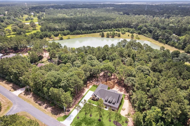 26800 Saddle Horn, Waller, TX 77484 - aerial view of property's location with a large body of water and a forest