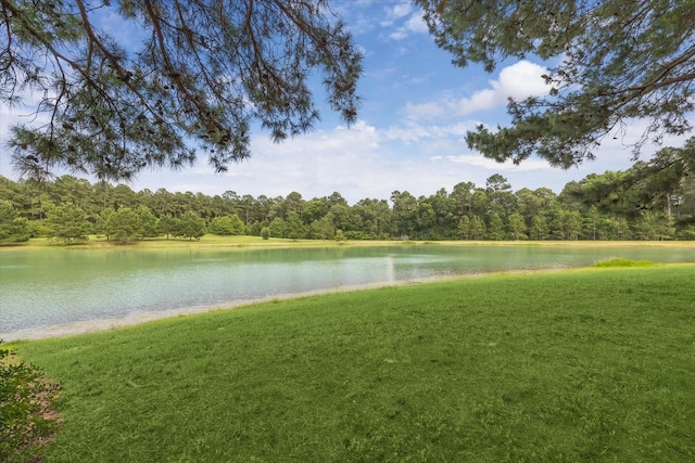 26800 Saddle Horn, Waller, TX 77484 - water view with a heavily wooded area
