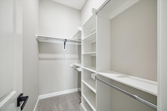 26800 Saddle Horn, Waller, TX 77484 - spacious closet featuring carpet floors
