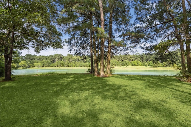 26800 Saddle Horn, Waller, TX 77484 - view of green lawn with a forest view and a water view