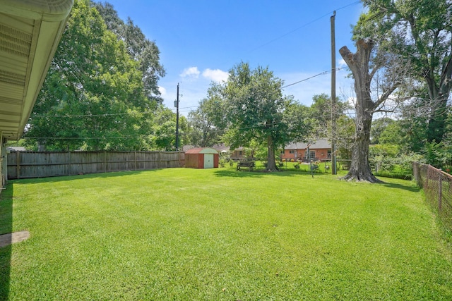 6027 Dellfern Dr, Houston, TX 77035 - view of yard