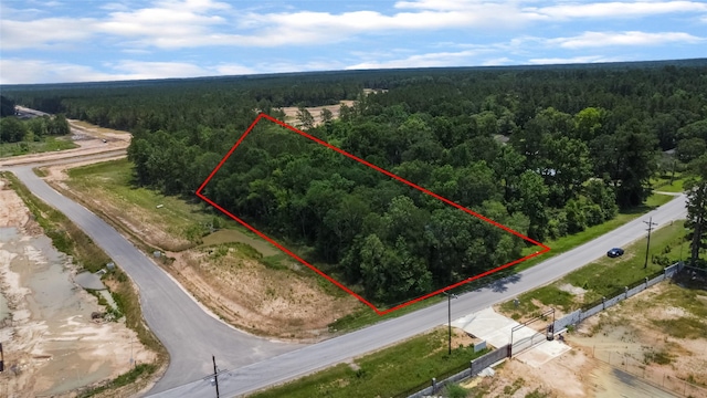 11931 Crockett Martin Rd, Conroe, TX 77306