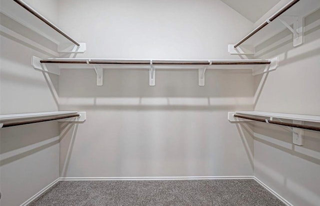 1330 Munson Valley Rd, Richmond, TX 77406 - walk in closet with carpet