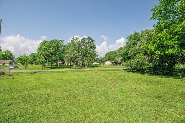 277 Lucy, Livingston, TX 77351 - photo 16