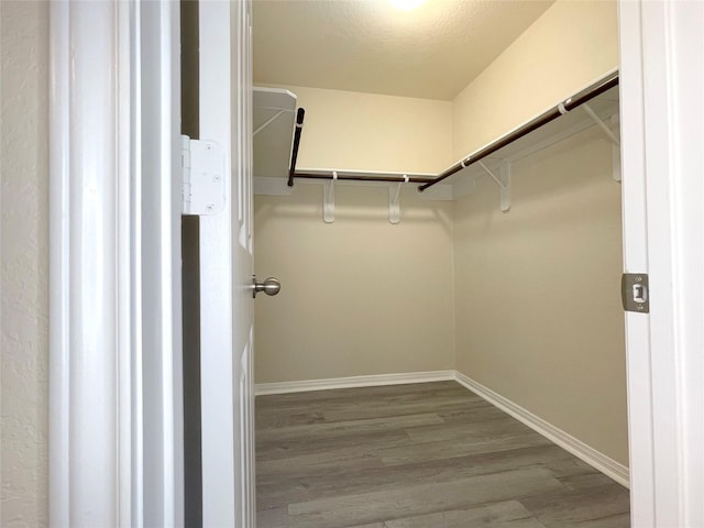 29314 Nectar Bloom Ct, Spring, TX 77386 - spacious closet featuring wood finished floors