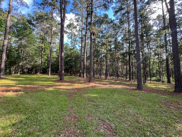 0 Old Staley Rd, Huntsville, TX 77320 - photo 7