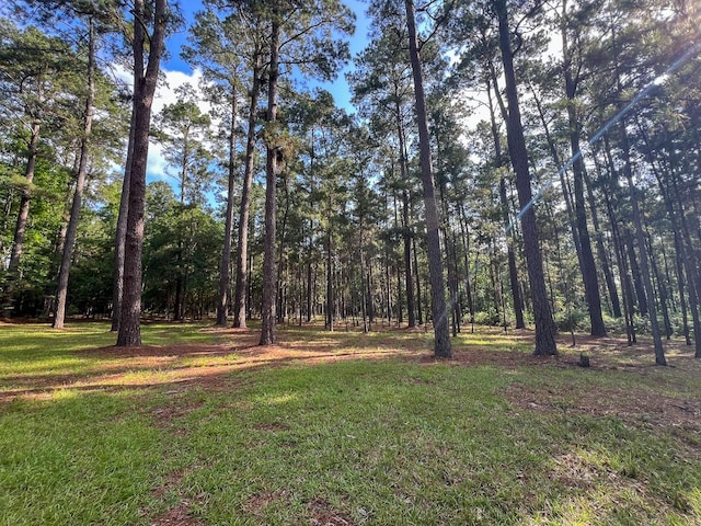 0 Old Staley Rd, Huntsville, TX 77320 - photo 8